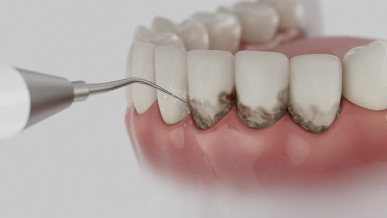 Reliable Dental contractor in Rutgers University-Busch Campus, NJ by Dentist Open Now
